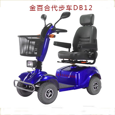 金百合DB-12電動(dòng)代步車(chē)