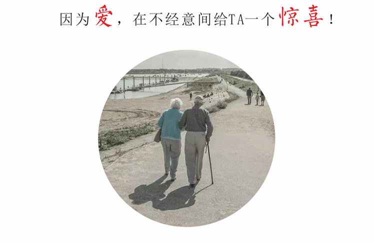 舒樂適3021遙控折疊便攜式代步車